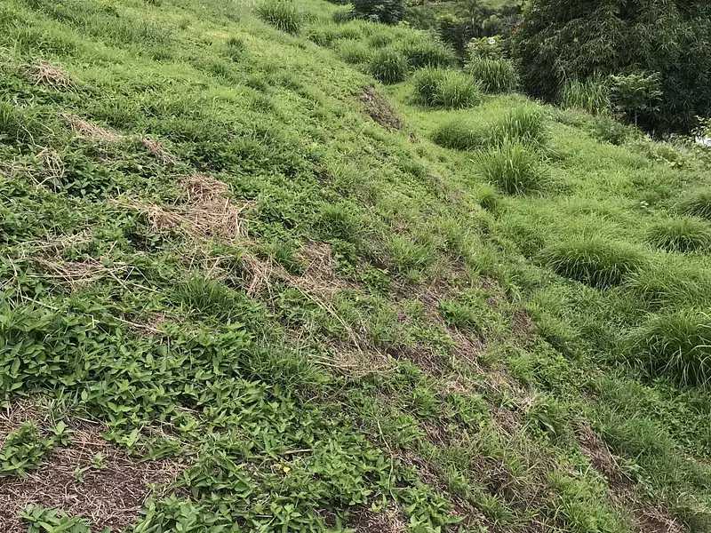 Terrain, 3 074 m²