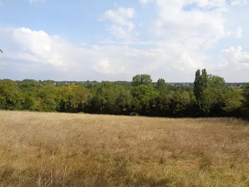 Terrain, 4 911 m²