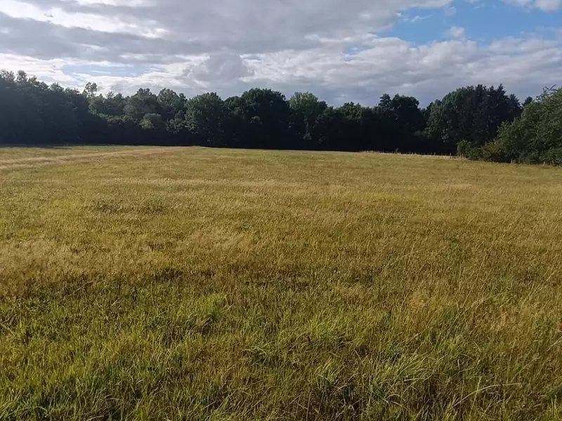 Terrain, 9 159 m²