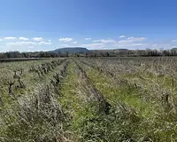 Terrain, 7 010 m²