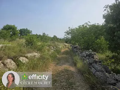 Terrain, 32 000 m²