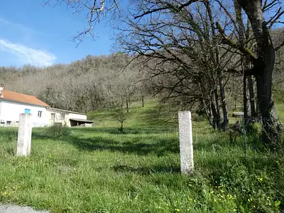 Terrain
