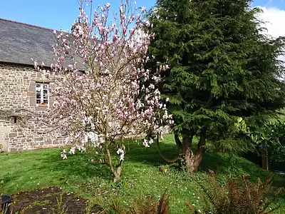Maison, 214 m²