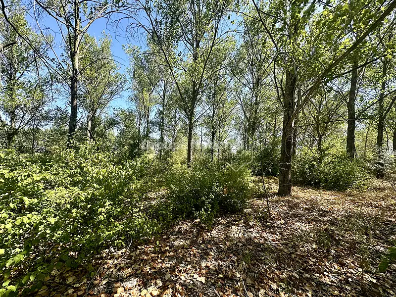 Terrain, 40 380 m²