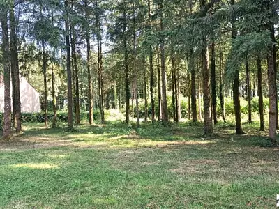 Maison, 52 m²