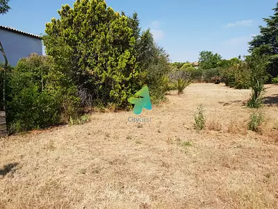 Terrain, 855 m²