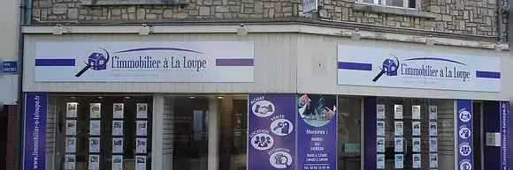 L'IMMOBILIER A LA LOUPE