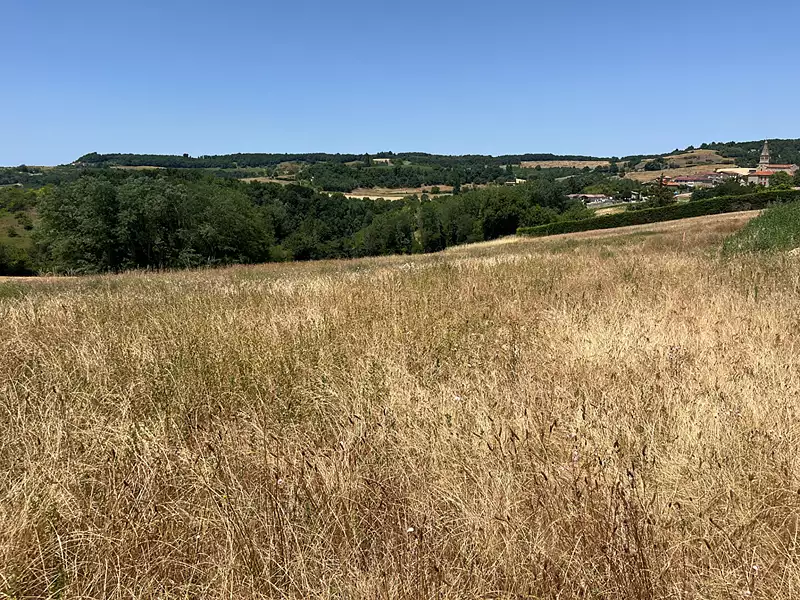 Terrain, 906 m²