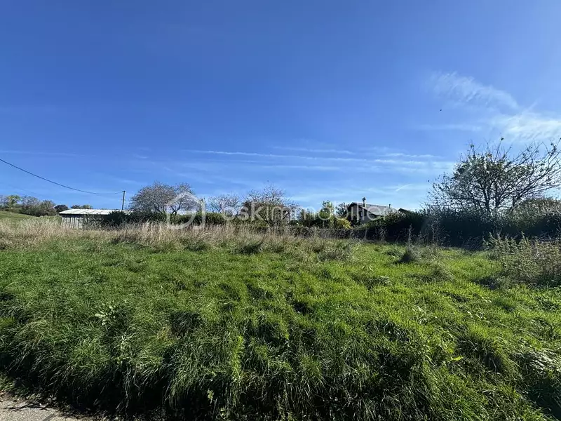 Terrain, 981 m²