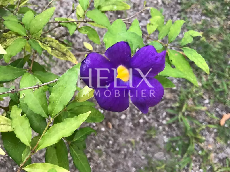 Appartement, 34,19 m²