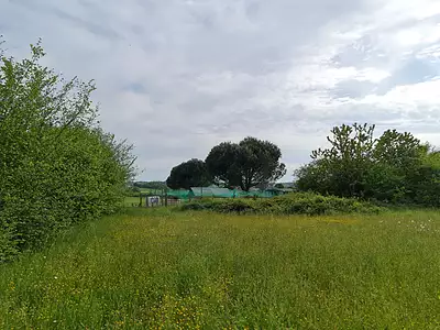 Terrain, 1 980 m²