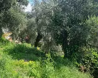 Terrain, 1 161 m²