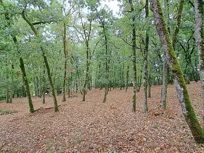 Terrain, 4 745 m²