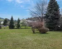 Terrain