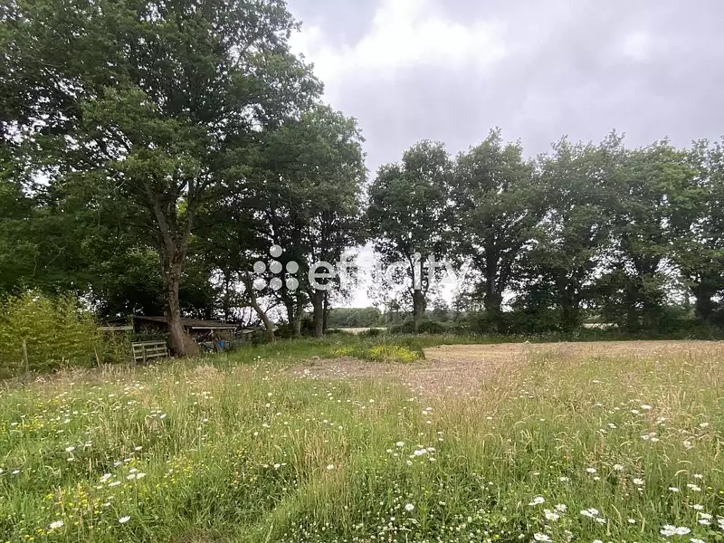 Terrain, 706 m²