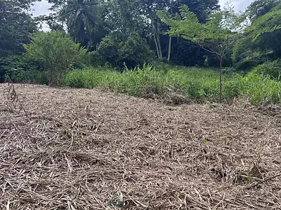 Terrain, 1 089 m²