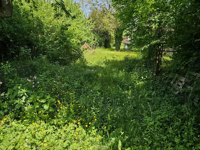 Terrain, 550 m²