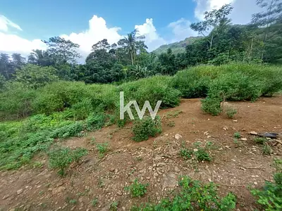 Terrain, 42 166 m²