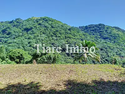 Terrain, 41 000 m²