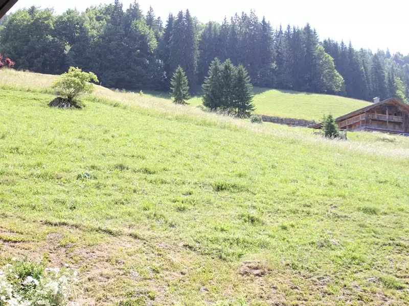 Appartement, 50 m²