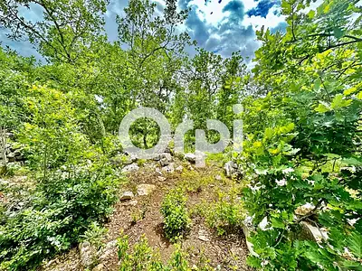 Terrain, 1 542 m²