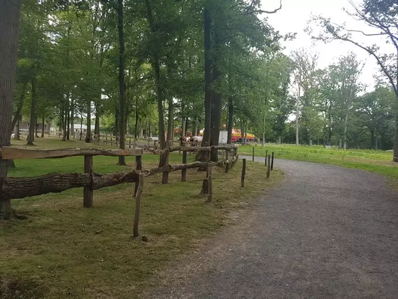 Terrain