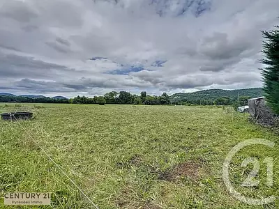 Terrain