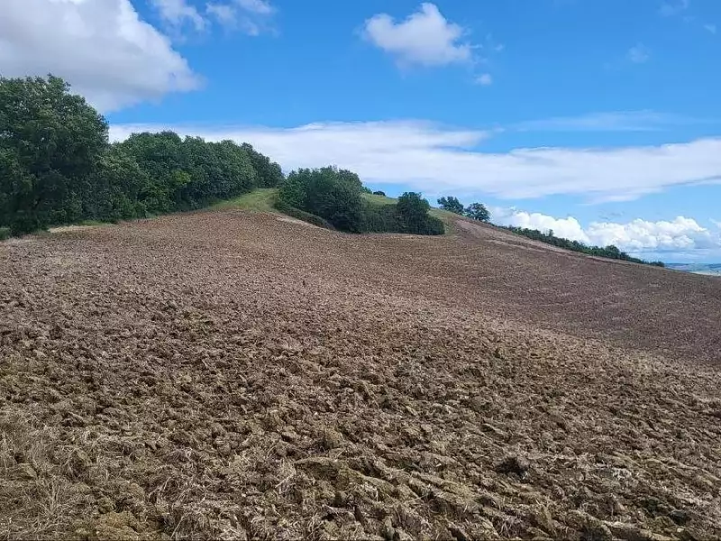 Terrain, 200 000 m²