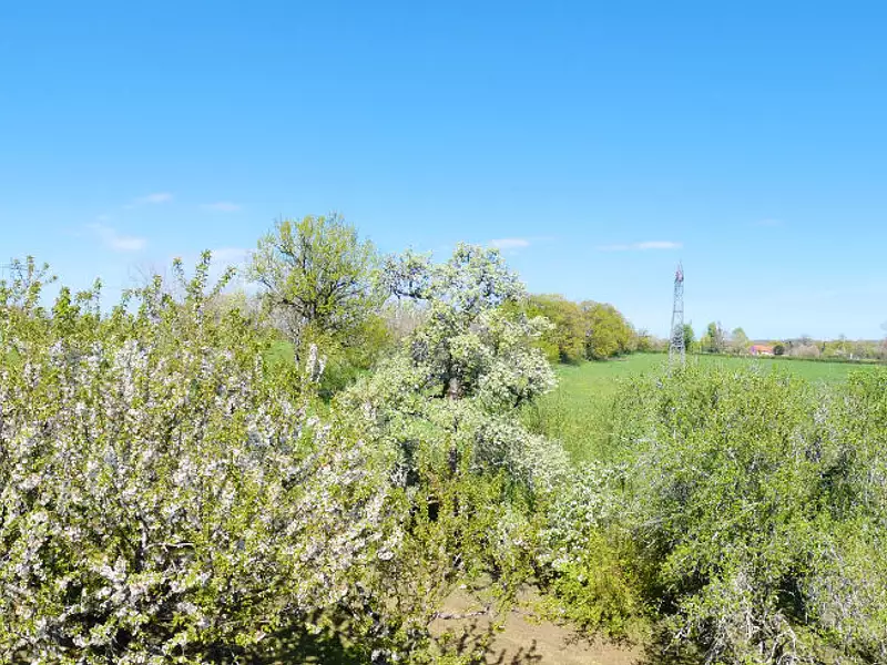 Maison, 96 m²