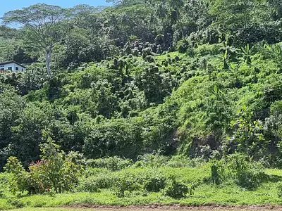 Terrain, 895 m²