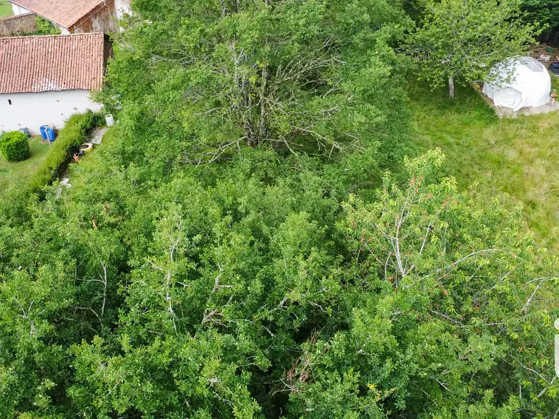 Terrain, 5 190 m²