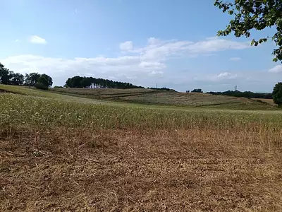 Maison, 98 m²