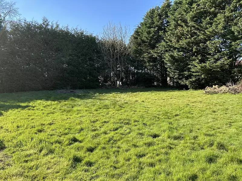 Terrain, 1 100 m²