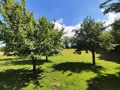 Maison, 75,29 m²