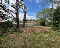 Terrain, 439 m²