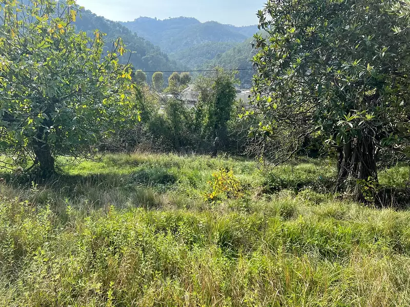 Terrain, 1 143 m²