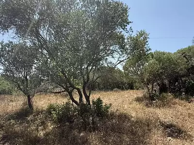 Terrain, 4 600 m²