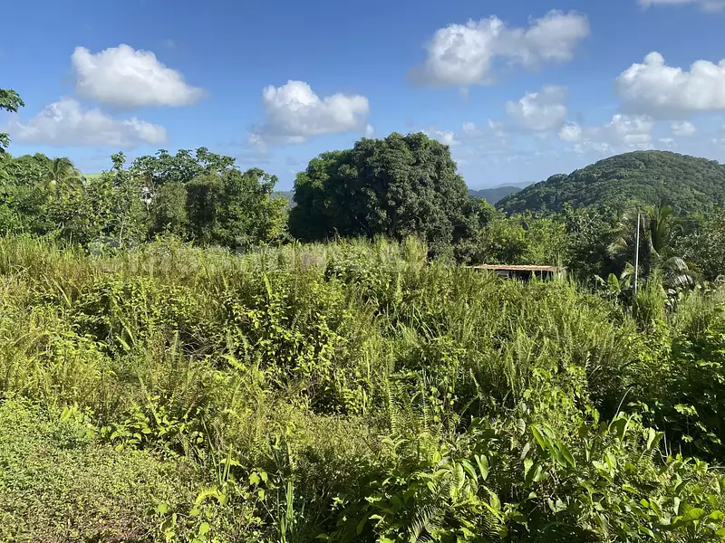 Terrain, 2 280 m²