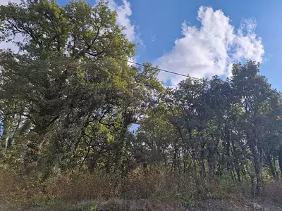 Terrain, 1 157 m²