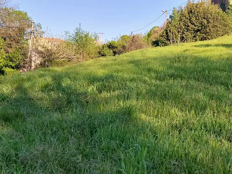Terrain, 2 354 m²