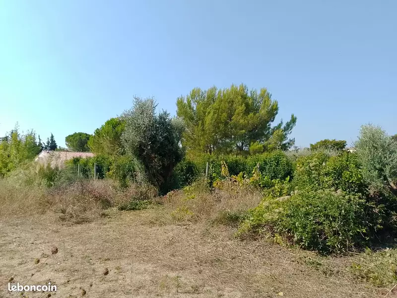 Terrain, 1 000 m²