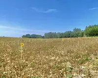 Terrain, 2 000 m²