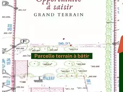 Terrain, 982 m²