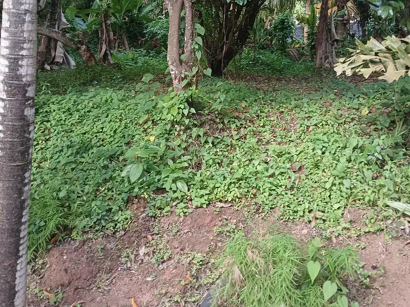 Terrain, 1 200 m²