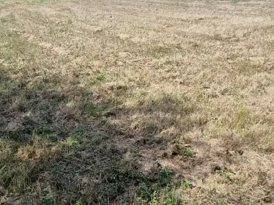 Terrain, 3 511 m²