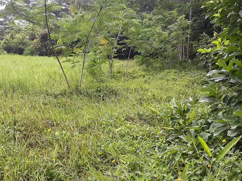 Terrain, 3 646 m²