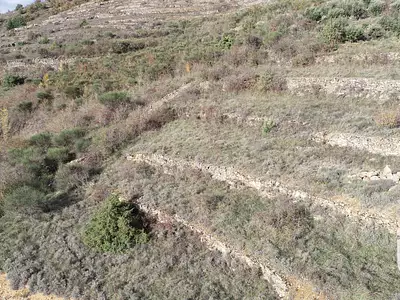 Terrain, 864 m²