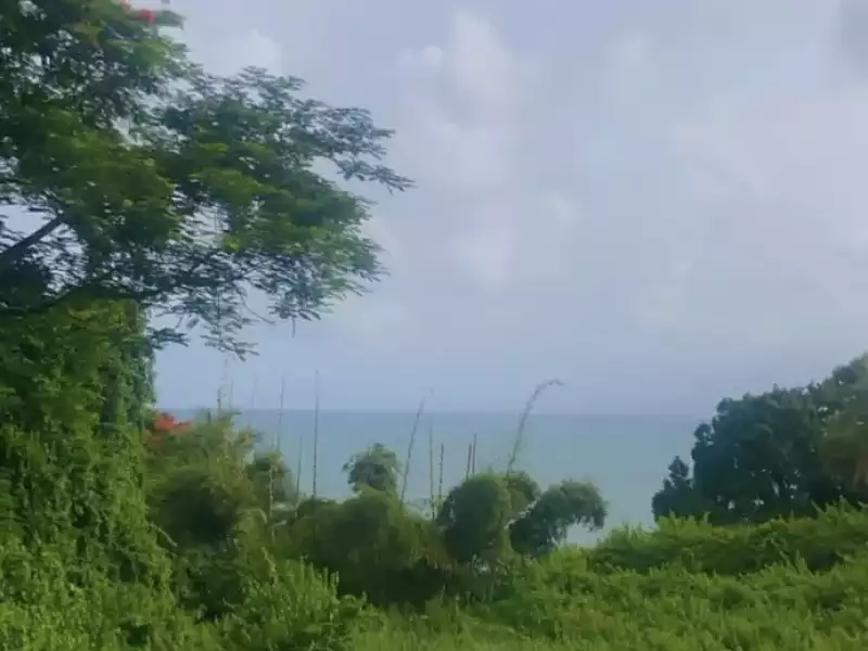 Maison, 230 m²