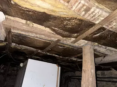 Maison, 50 m²