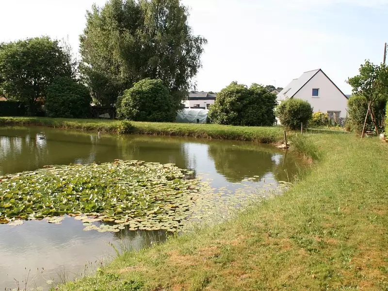 Terrain, 1 400 m²